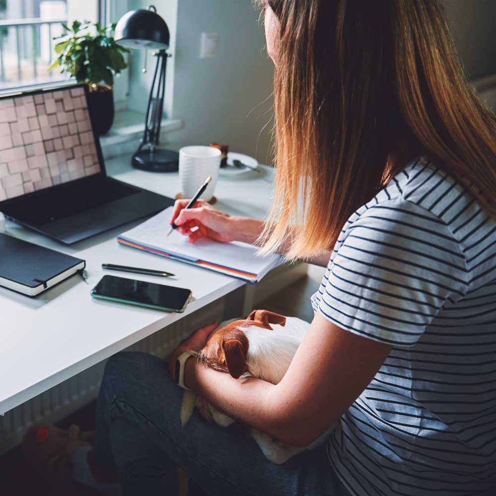 Specialista in marketing e comunicazione